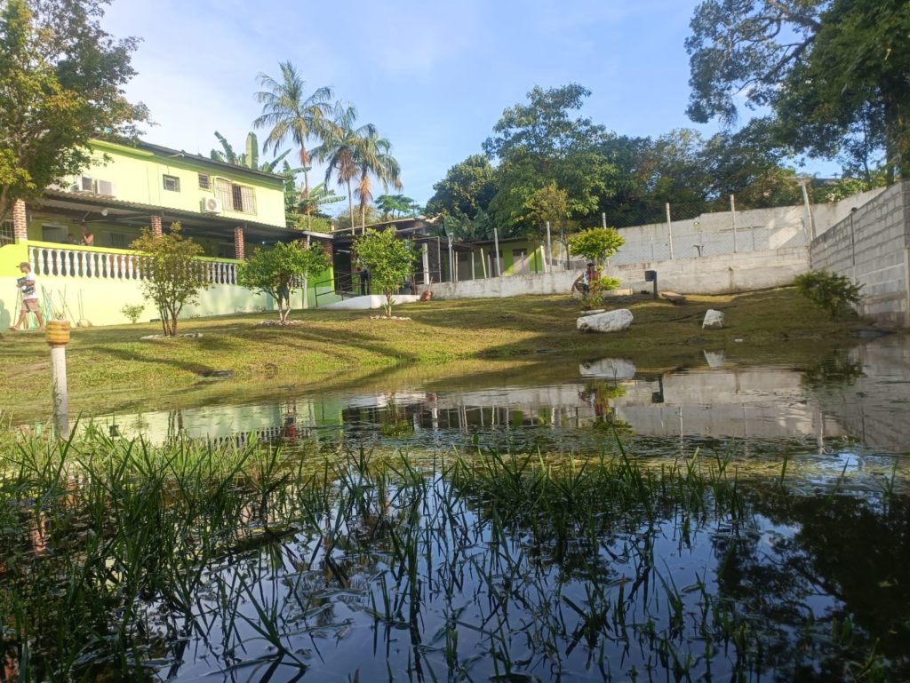 Clínica de Recuperação em Suzano SP - internação involuntária