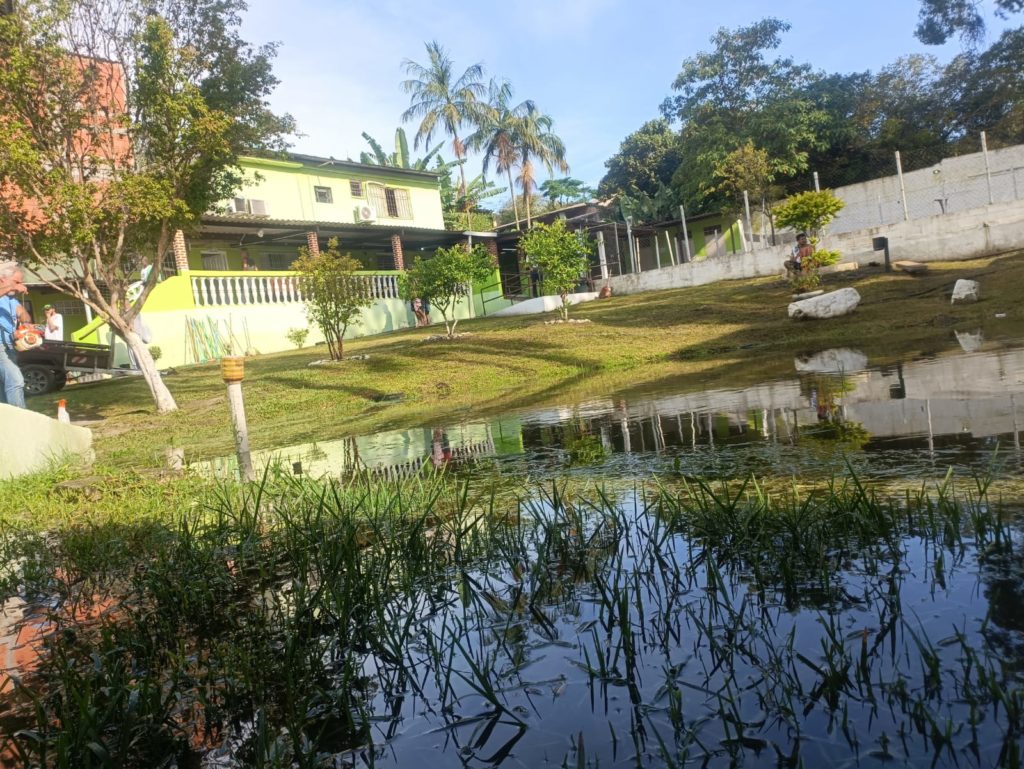 Clínica de Recuperação em Suzano SP - internação involuntária