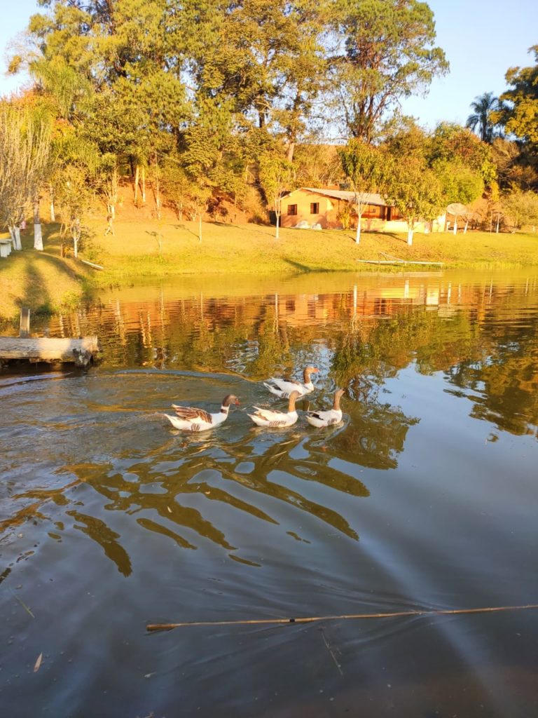 Clínica de Reabilitação em Atibaia - SP